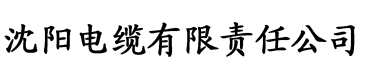 A级人体片电缆厂logo